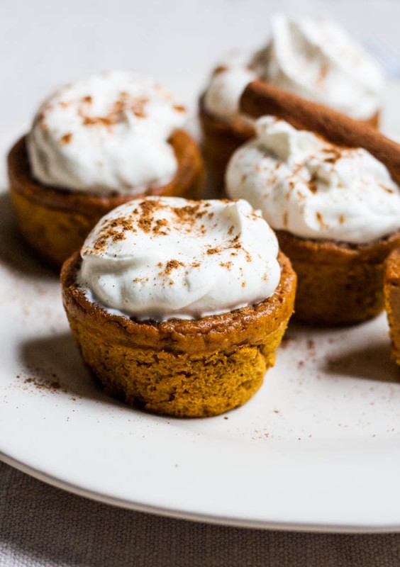 Pumpkin Pie Cupcakes with Whipped Cream 